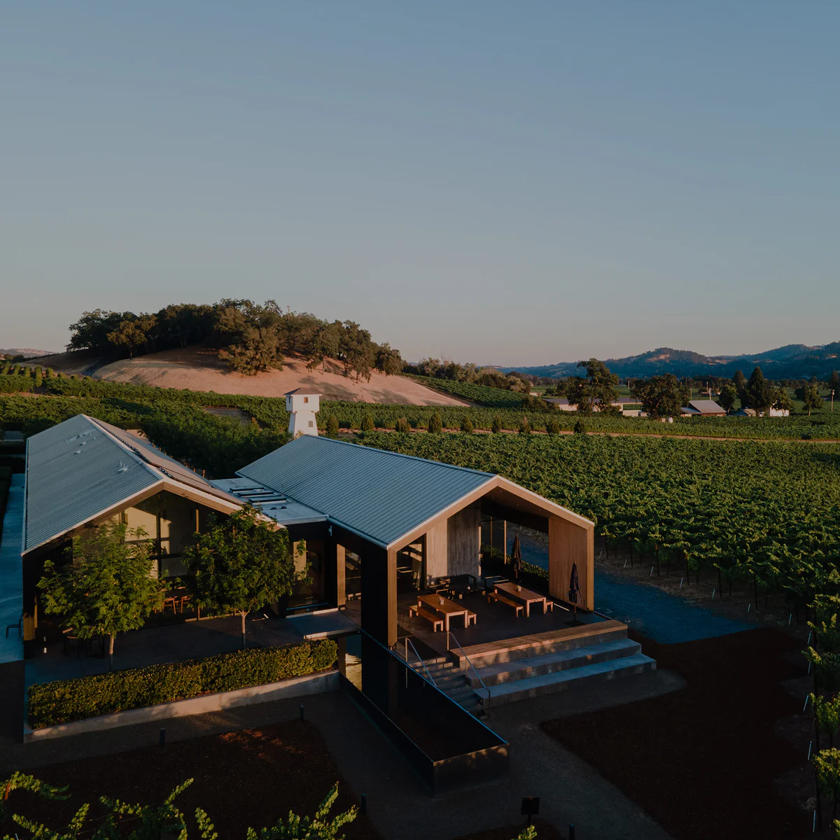 Fifty Years of Cabernet Perfection
